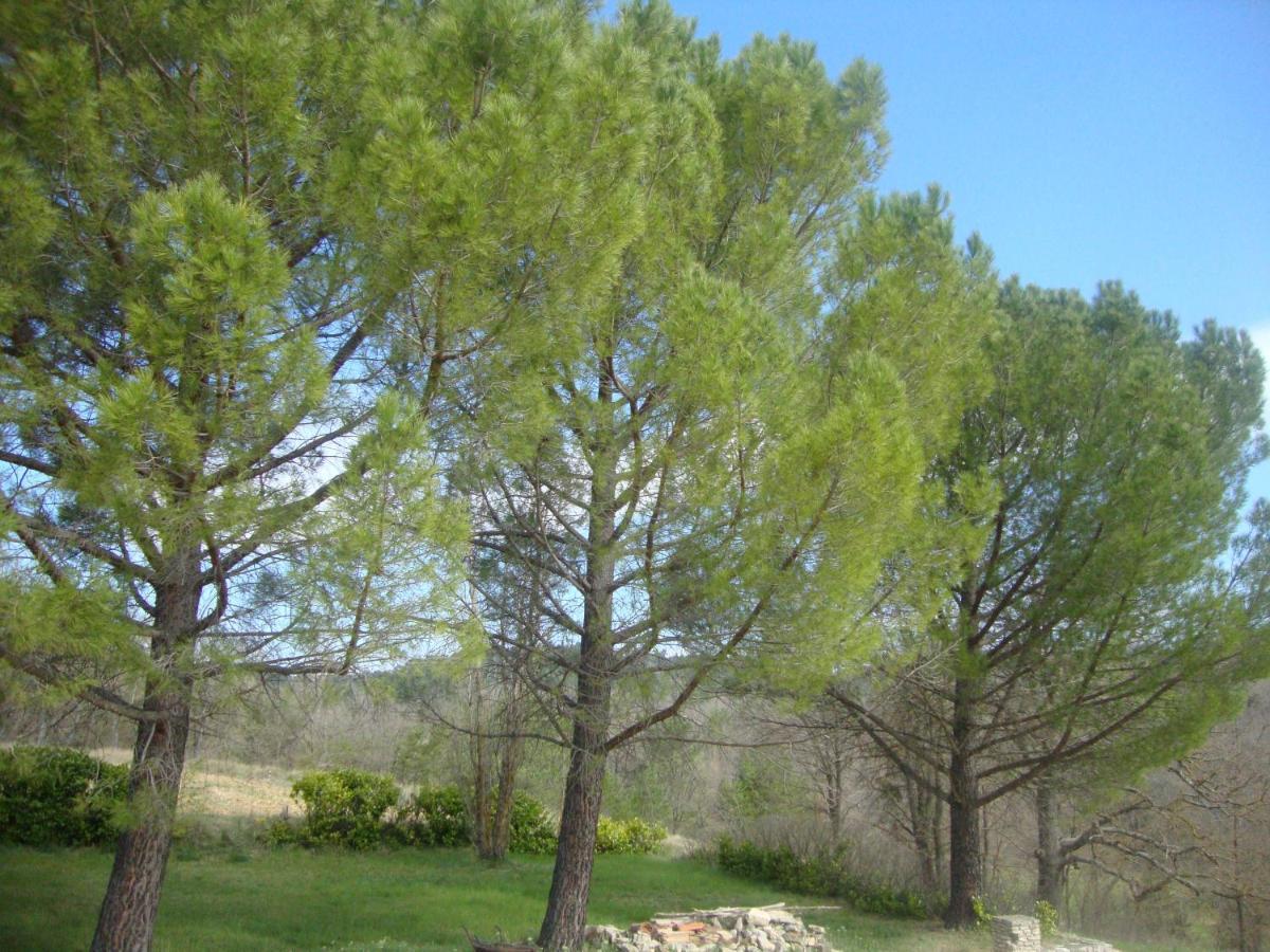 Villa La Croix du Sud à Apt Extérieur photo